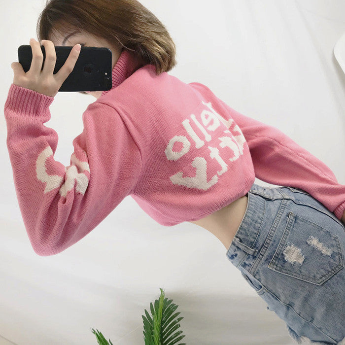 Pink cute sweater BL16